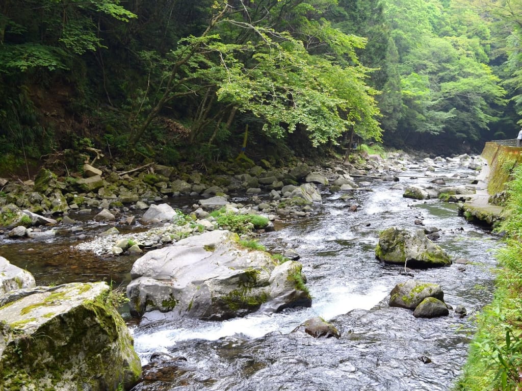 渓流イメージ