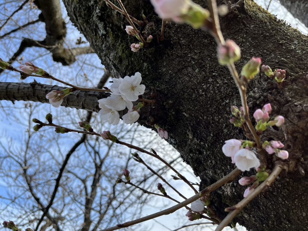 水源公園