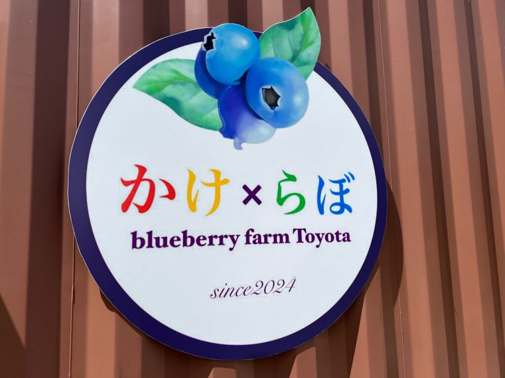 かけらぼ
