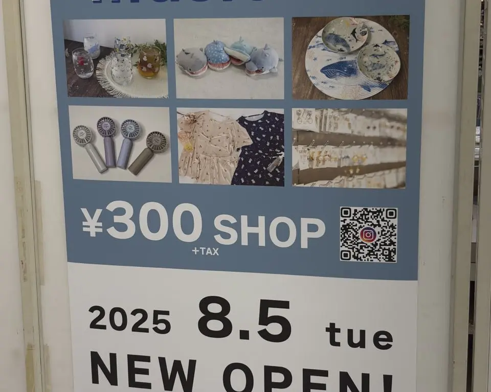 illusie300