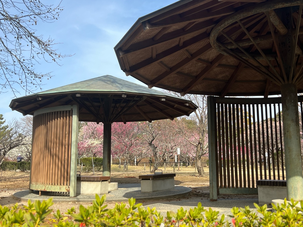 平芝公園