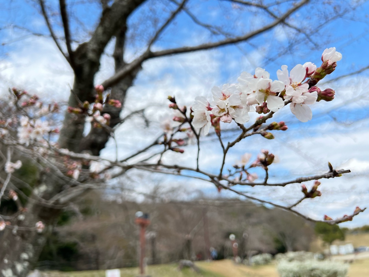 水源公園 (水源緑地)