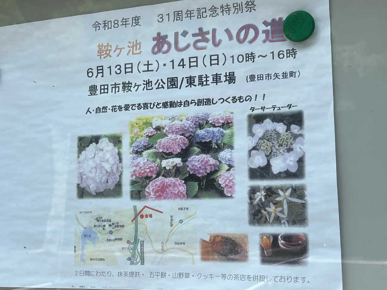 あじさいの道