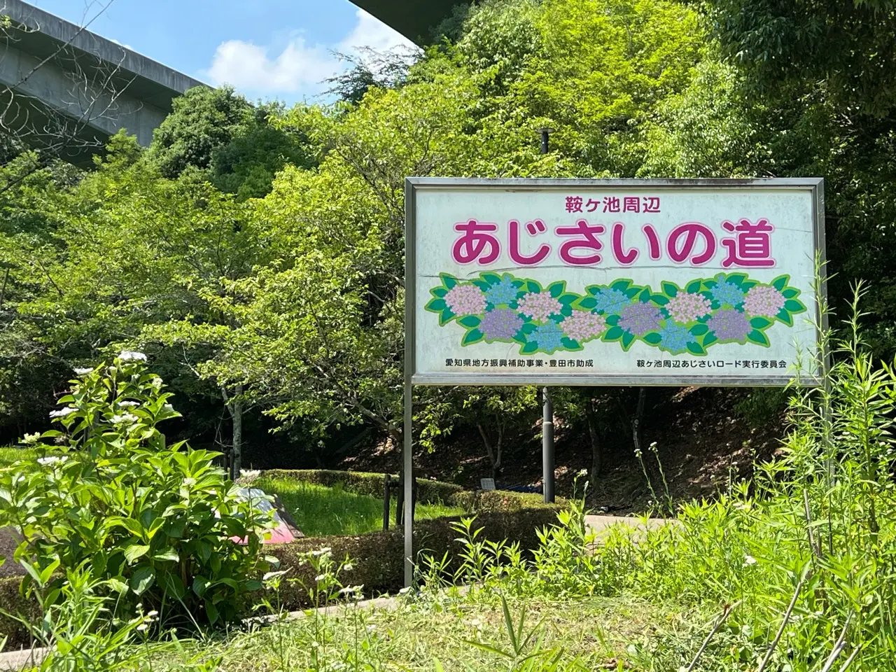 あじさいの道