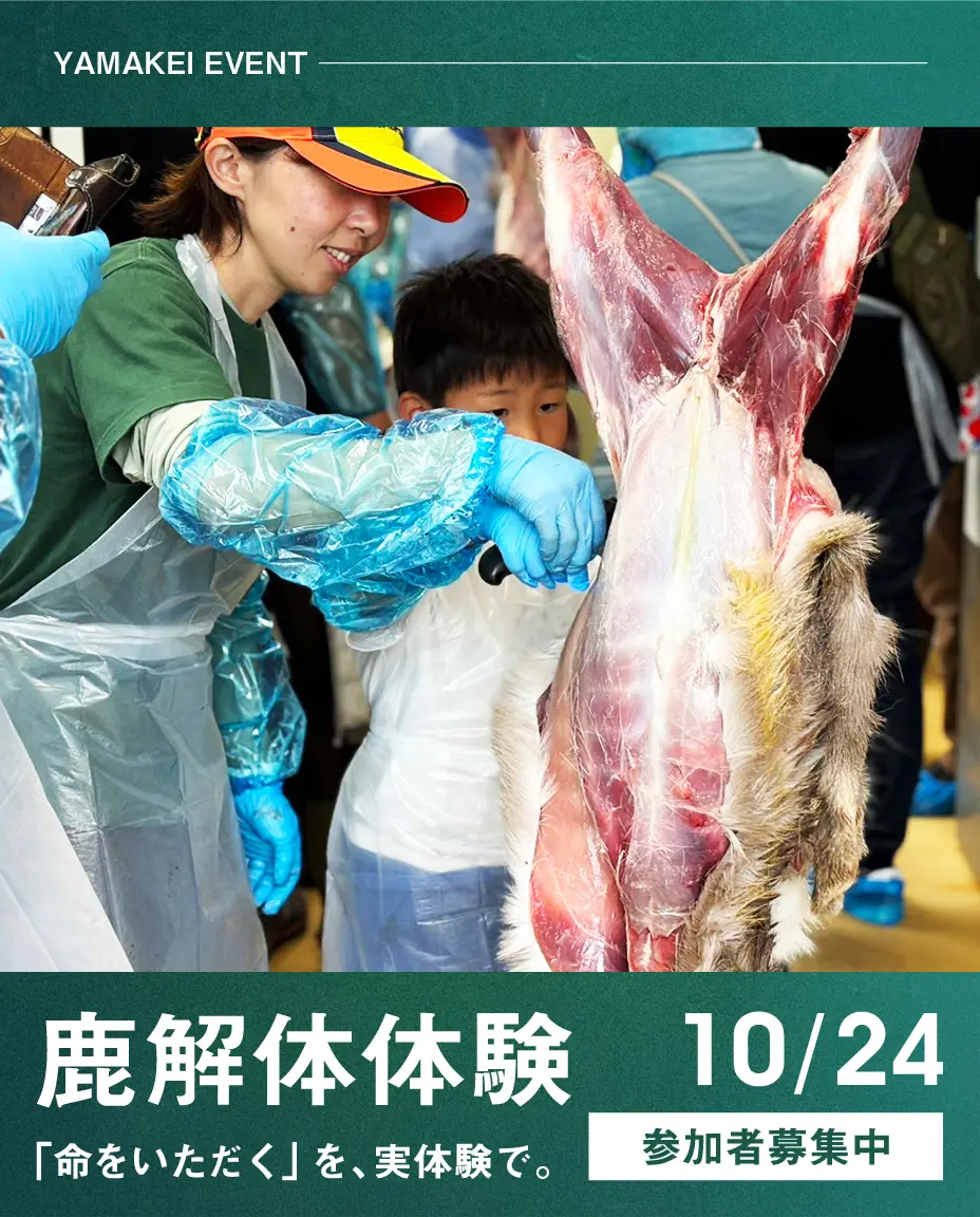 「鹿解体体験」